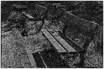 V. Vrba: Ztichlá místa 102cvrban.jpg, 30kB